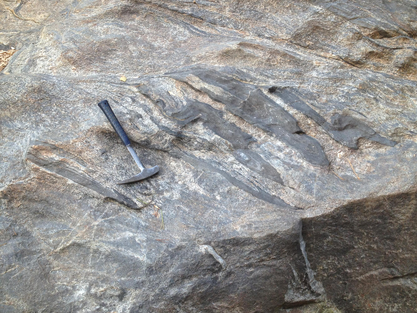 Xenoliths of metagraywacke/biotite gneiss in the Toluca Granite contain an early foliation. A hammer lies on top for reference.