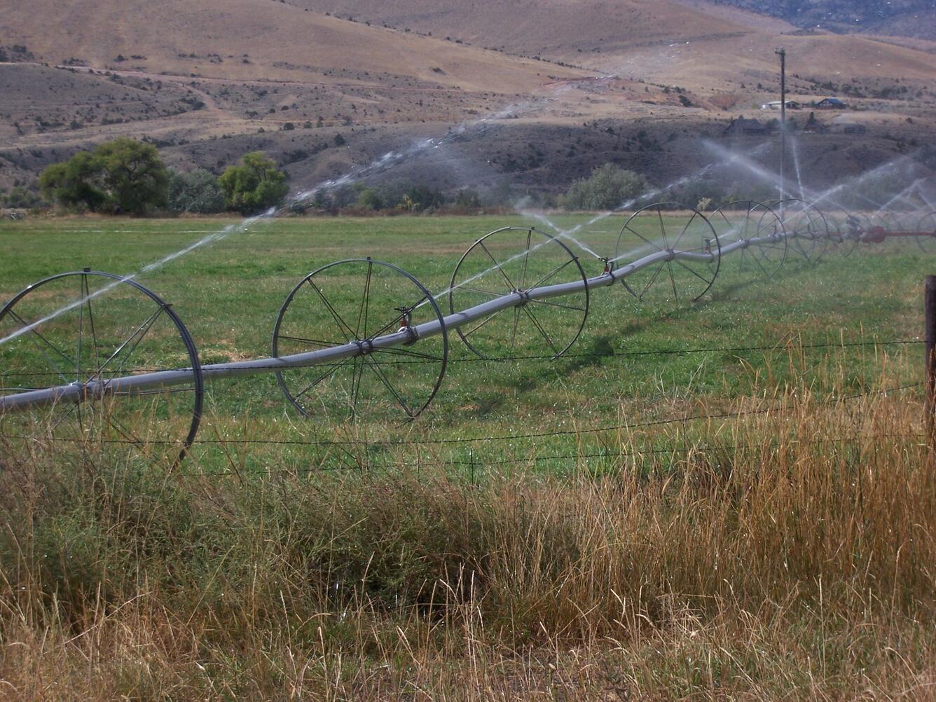 Townsend Montana Water Use Irrigation