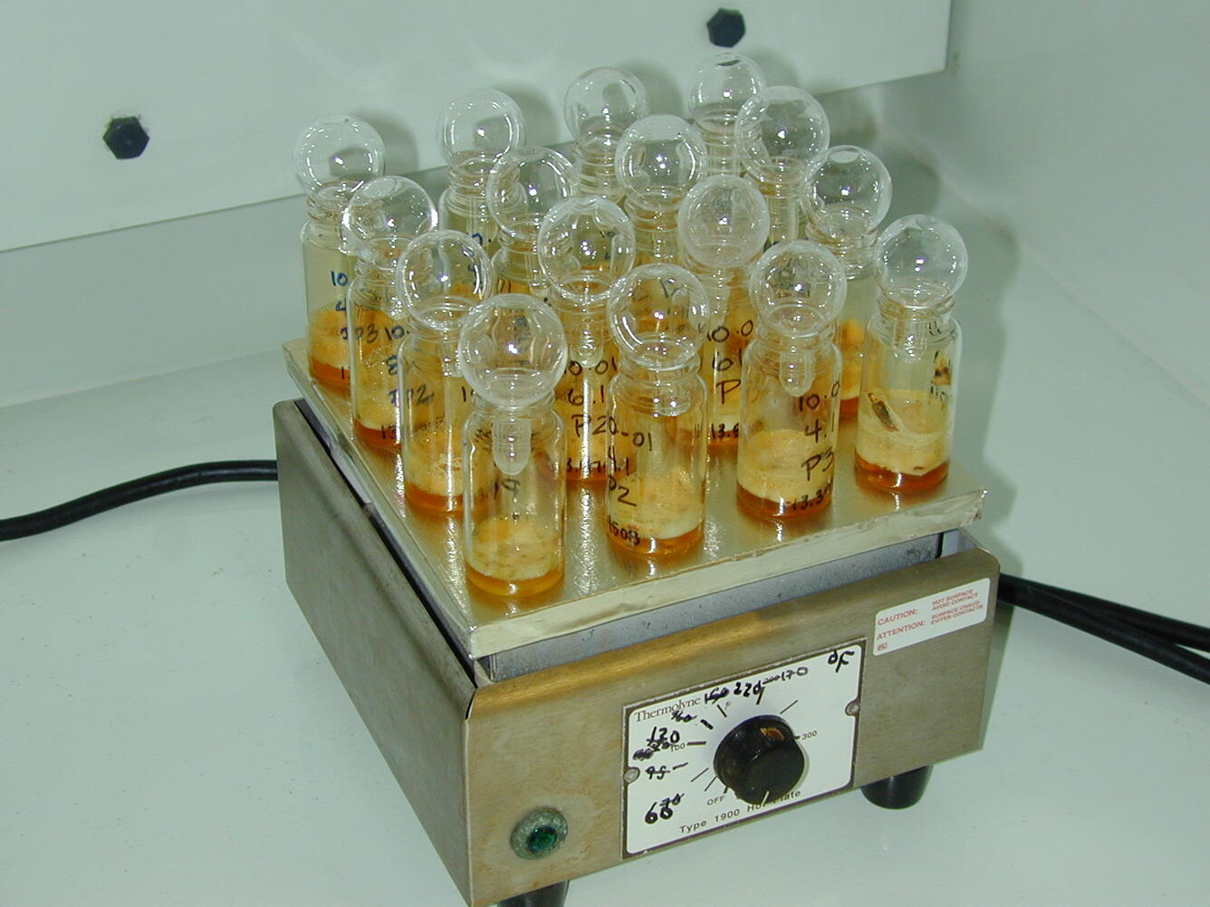 Clam samples on a hotplate.