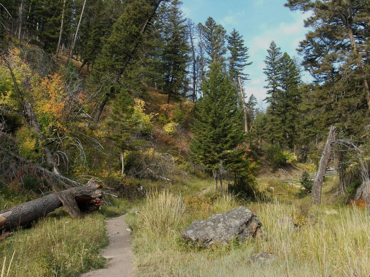 Photo of back country trails, Yellowstone National Park