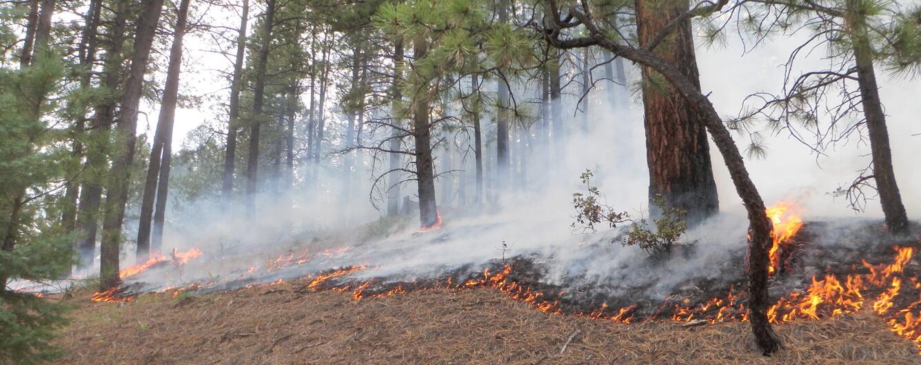 The 2014 Pino Fire, a small fire that took place near Jemez, New Mexico
