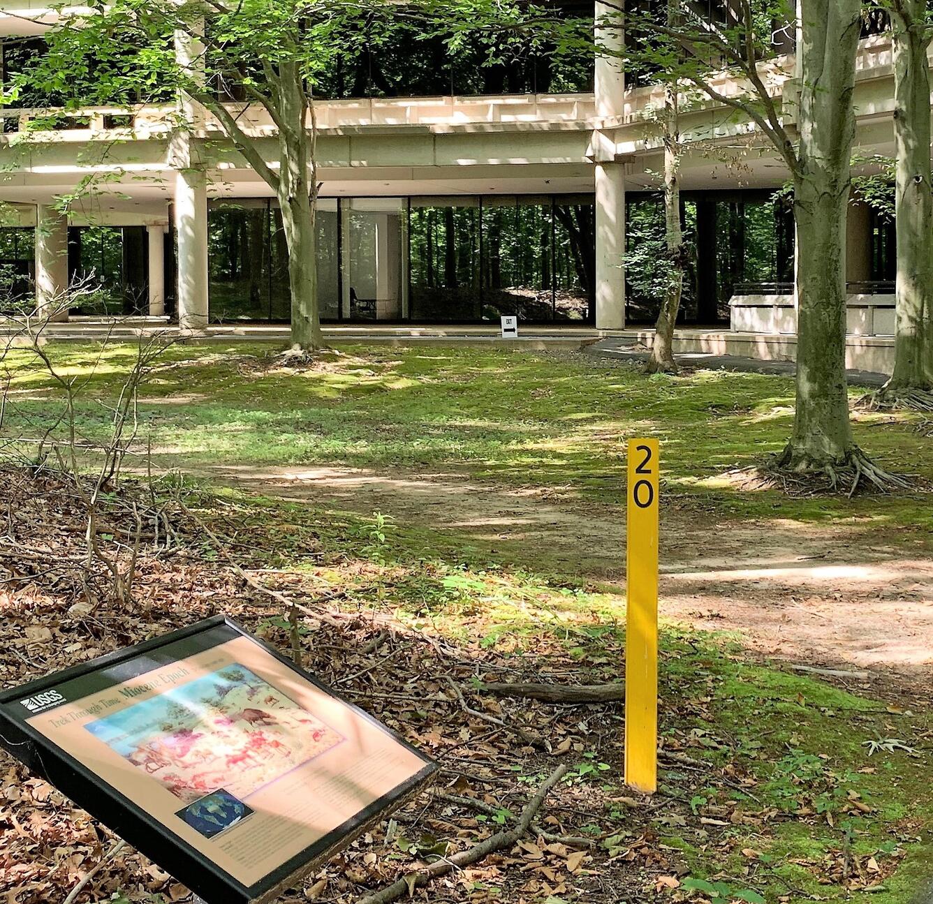 A view of the walking path for the Trek Through Time - near the end