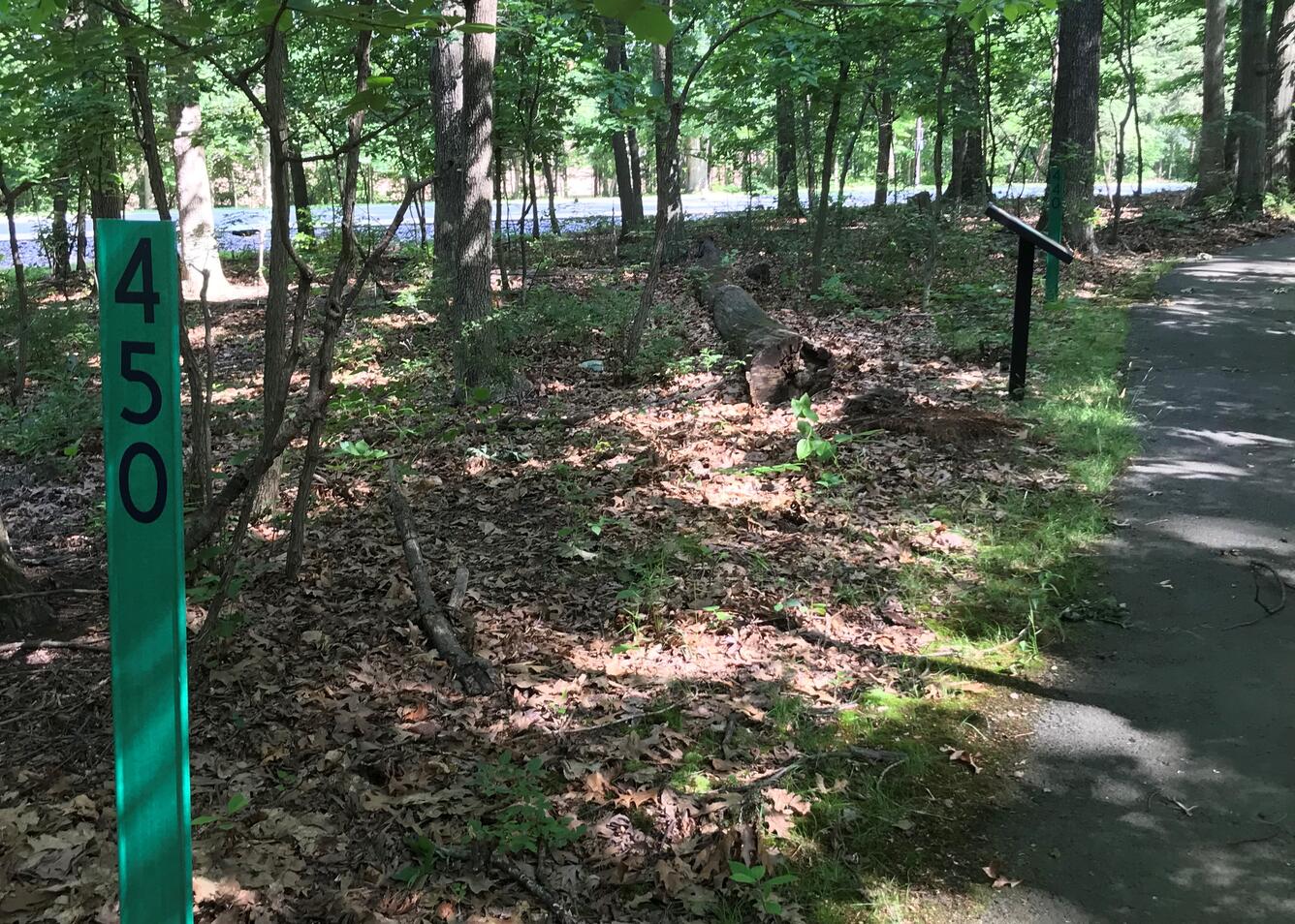 Walking the Trek Through Time - Paleozoic Era - on a sunny day.