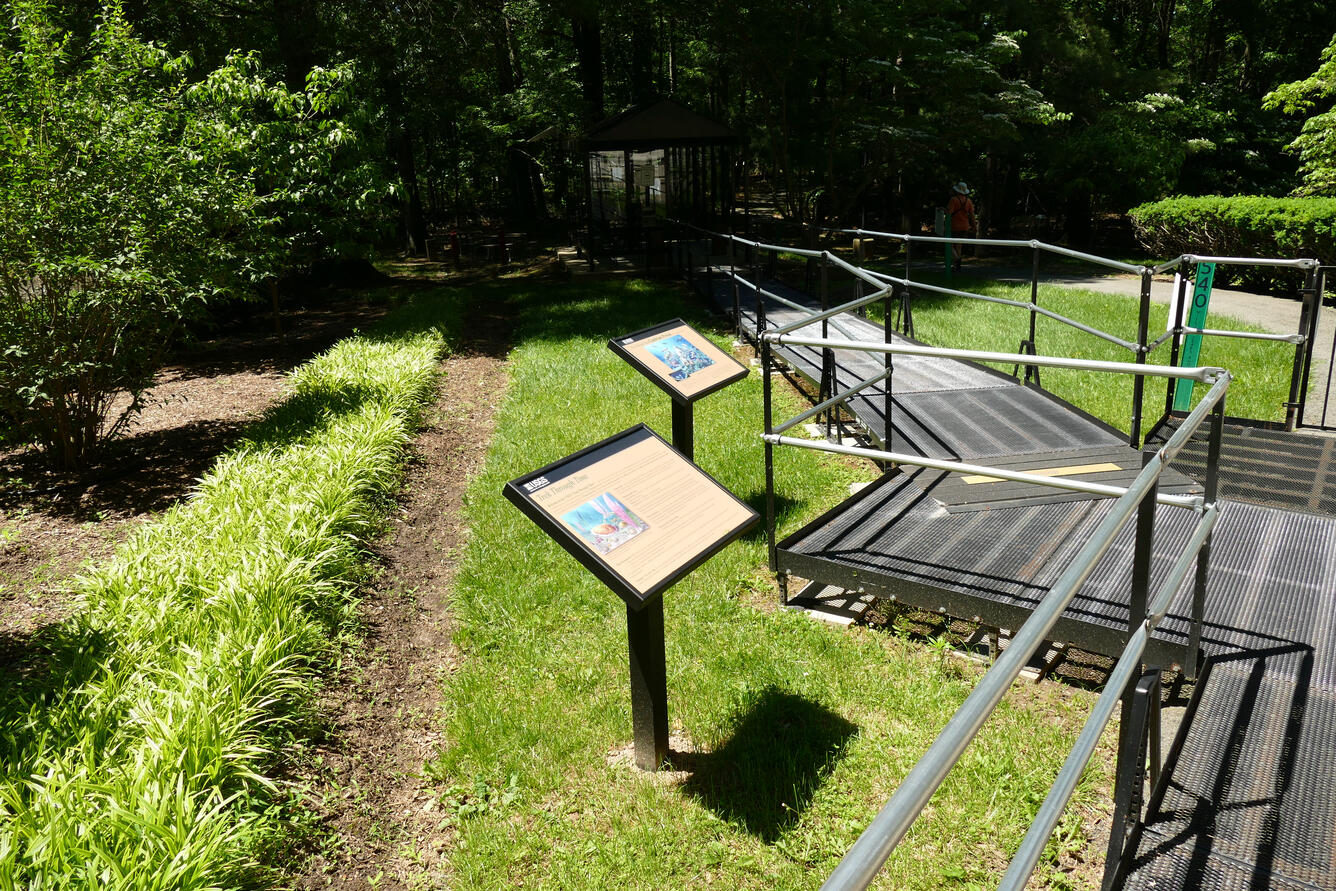 A view of the walking path for the Trek Through Time - start