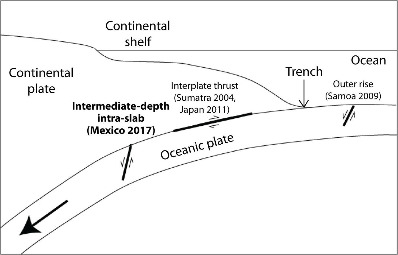 Line drawing of cross-section of oceanic crust showing the location and kind of earthquake that may or may not cause a tsunami.