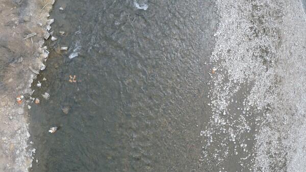 Image Captured from QCam