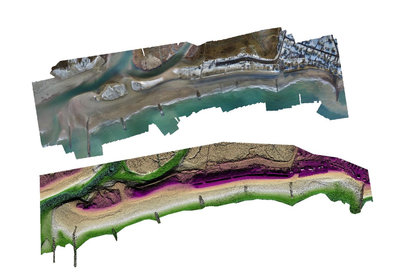Examples of a digital elevation model and orthomosaic