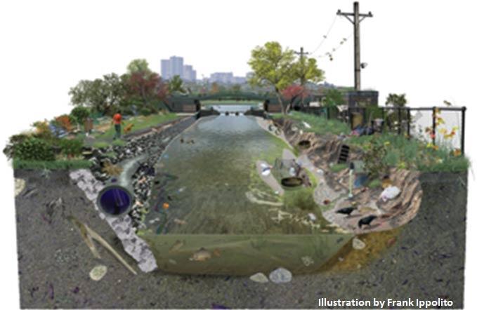 Cross Section of Urban Landscape