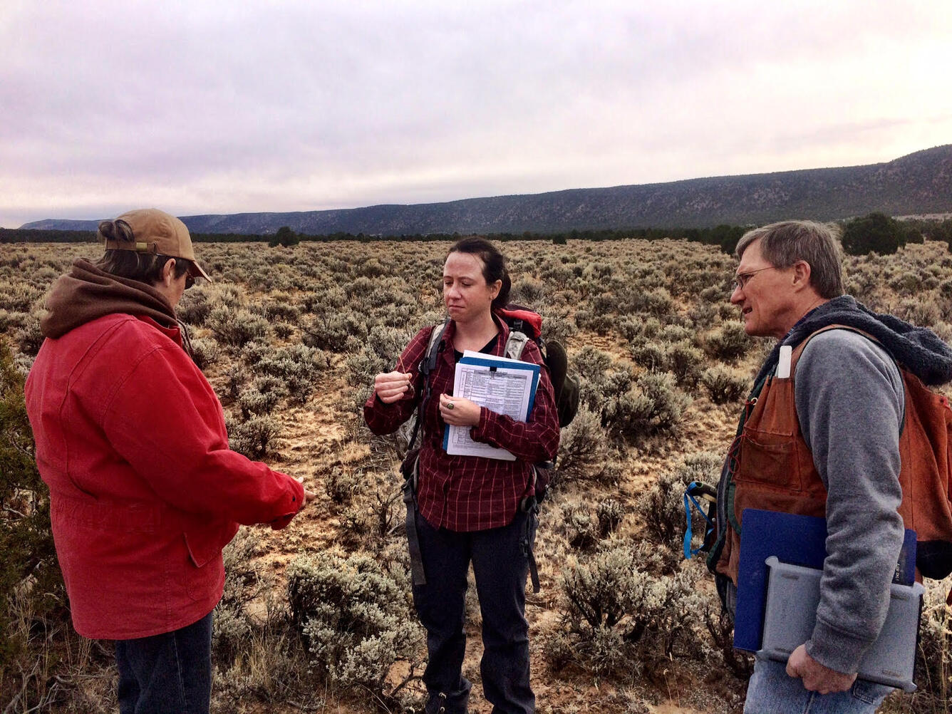 Three land managers stand in a sagebrush ecosystem.