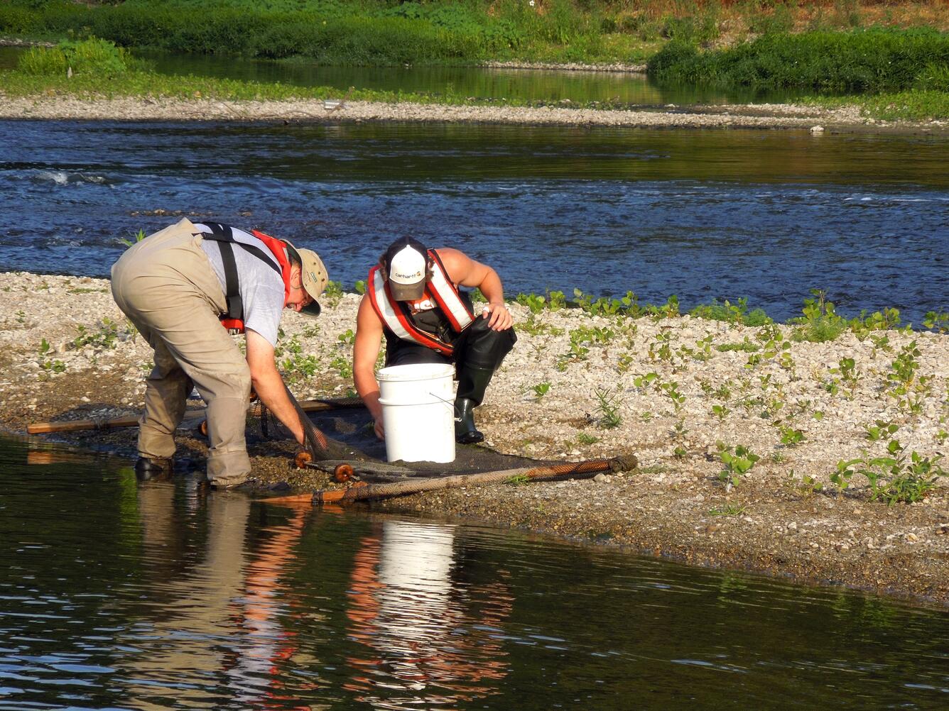USGS Indiana staff - Electrofishing