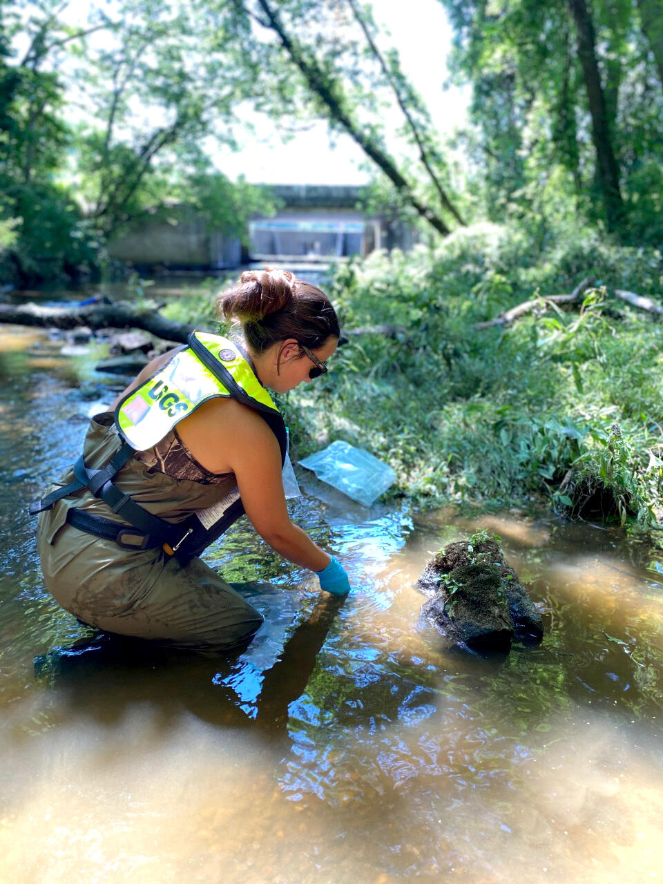 USGS scientist kneels in a shallow stream while taking a sediment sample