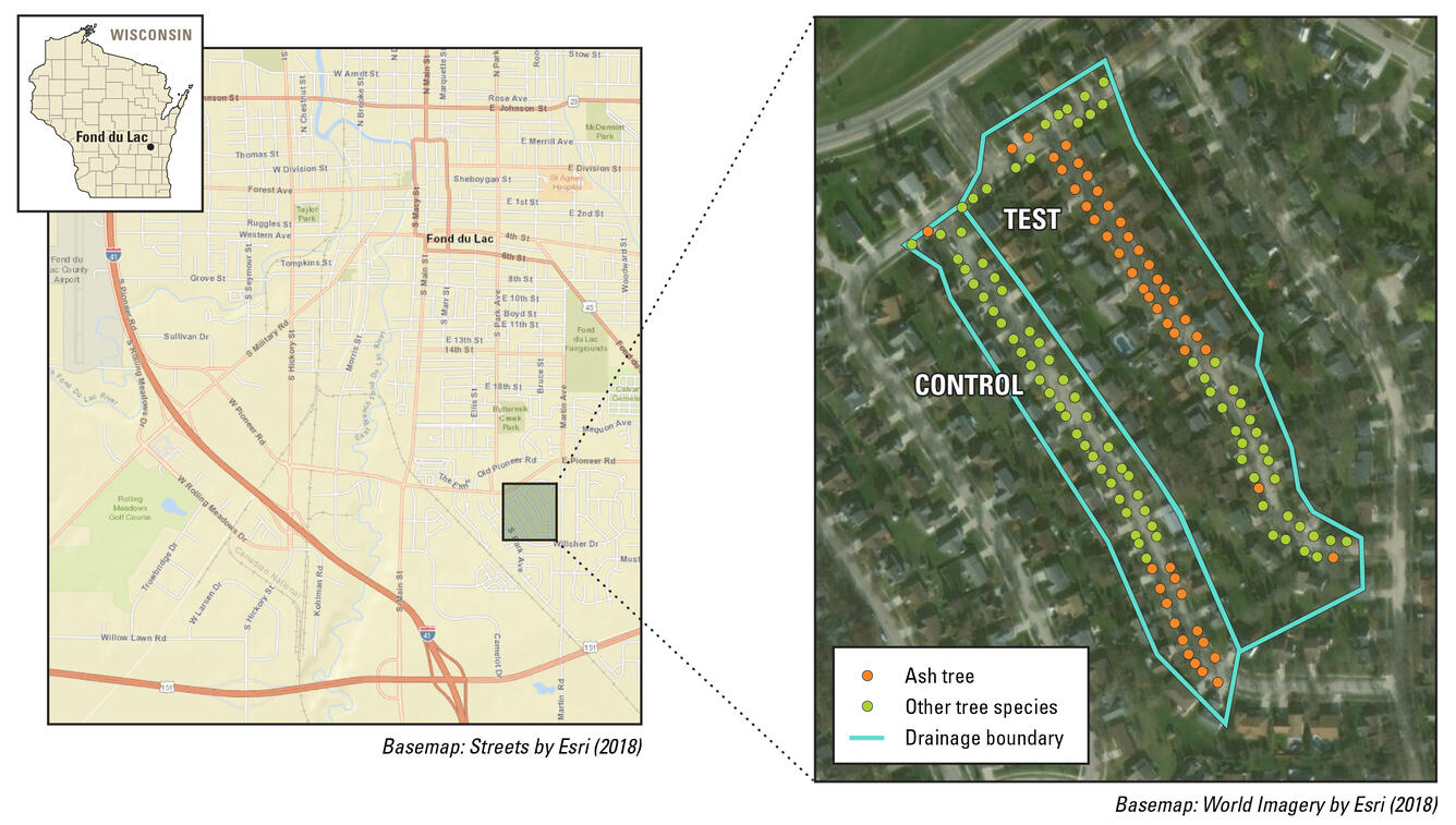 Map showing the GLRI urban-tree stormwater-reduction study location and catchments