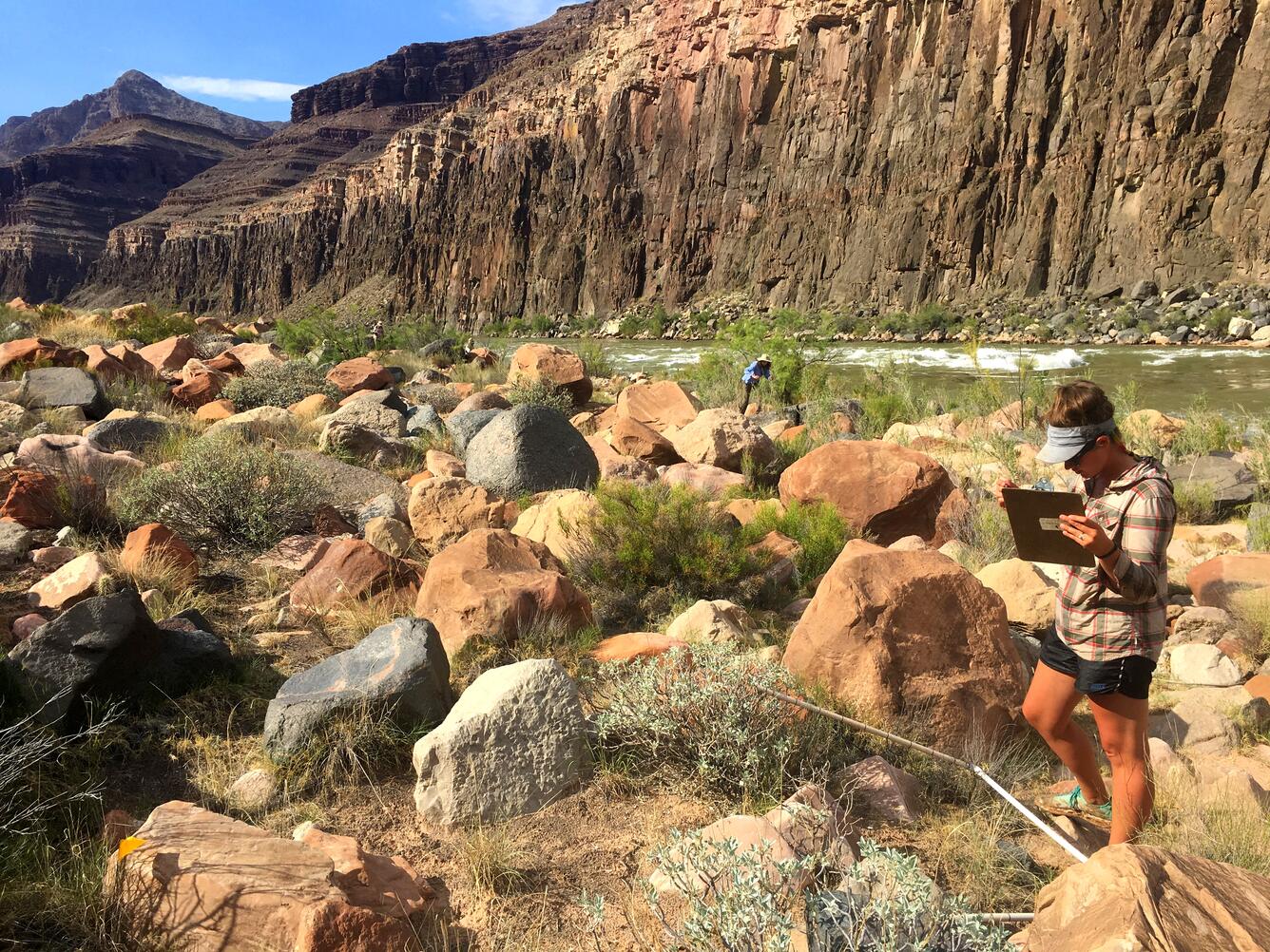 Monitoring riparian vegetation along the Colorado River