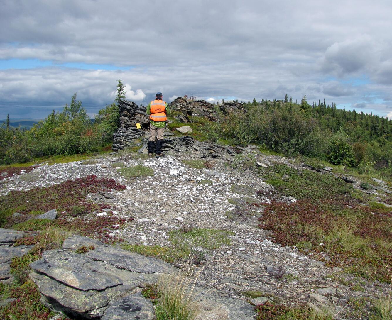 Geologist at Yukon Tanana Uplands Alaska