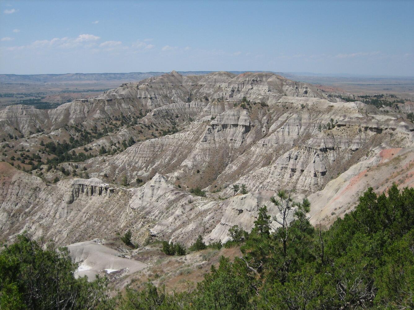 Upper Lebo Member of the Fort Union Formation near Gillette, Wyoming