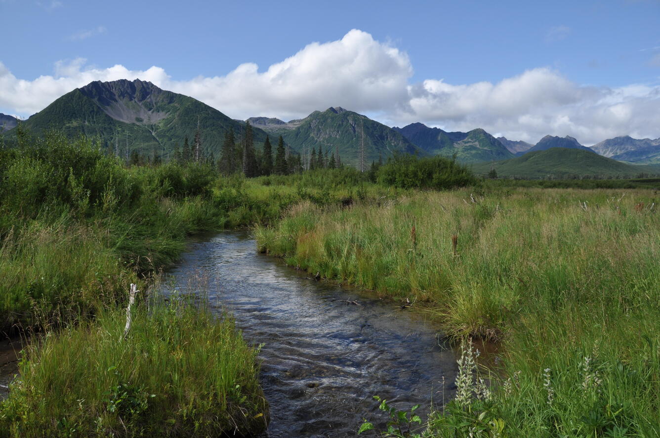 Upper Crescent River, Alaska