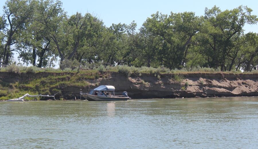 High, eroding riverbanks are common in the Upper Missouri River between Fort Peck Dam and Williston, North Dakota