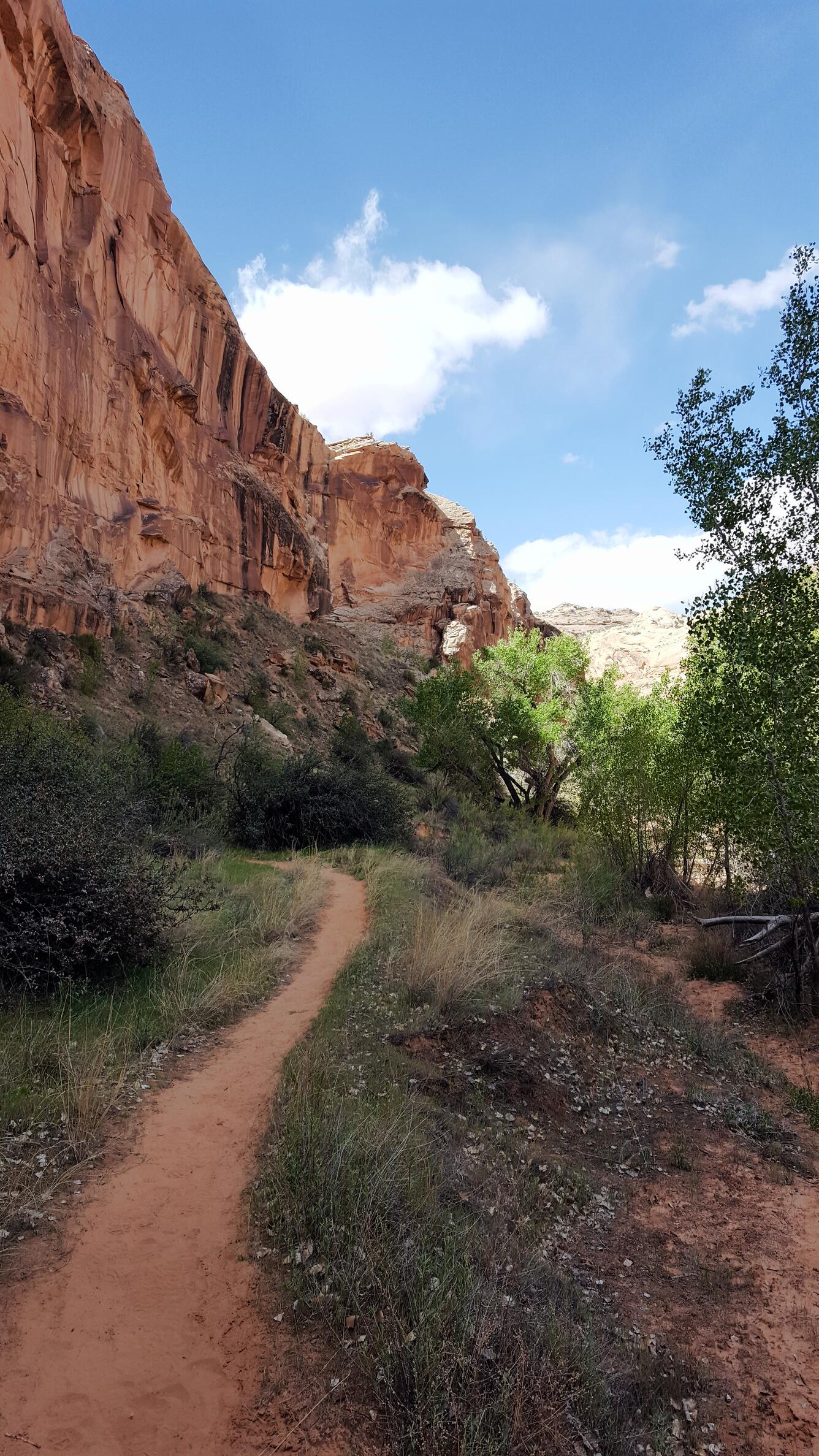 NDTc - Horseshoe Canyon section of Canyonlands National Park