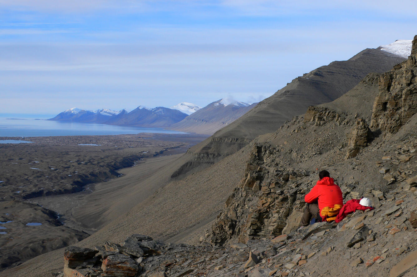 Eocene basin-floor submarine fan deposits exposed on the mountain, Hyrnestabben.