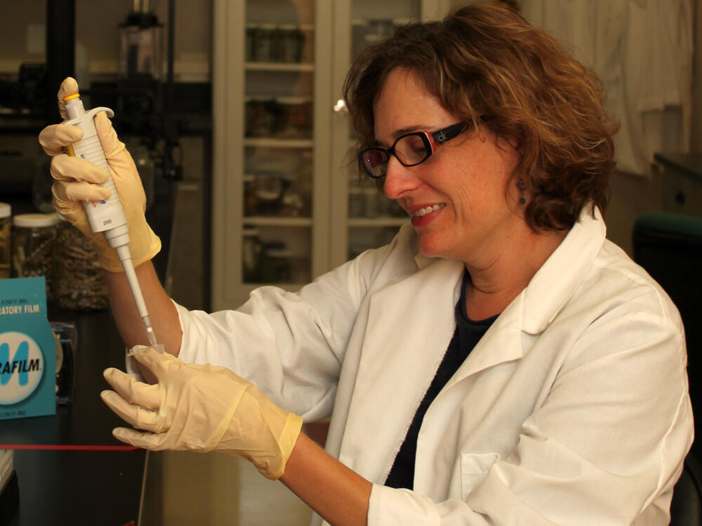 Photo of WERC geneticist Amy Vandergast