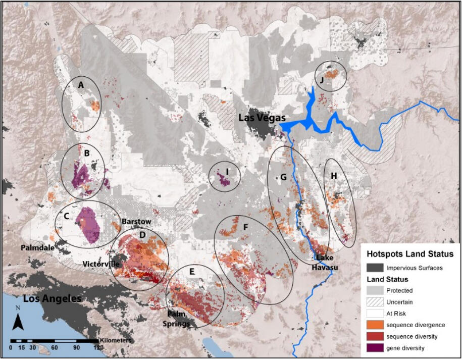 Map of "evolutionary hotspots" in the Mojave Desert