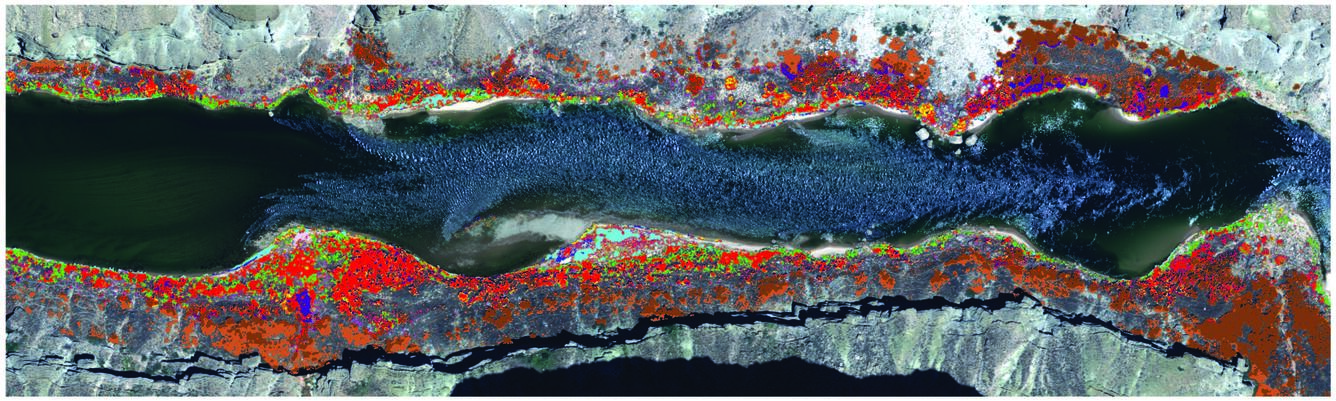 Aerial photography of Grand Canyon with vegetation change data