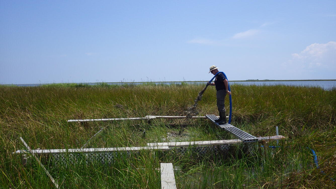 USGS WARC scientist research sediment deposition in wetlands