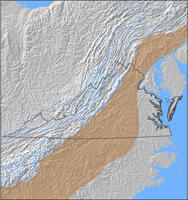 Virginia Bankfull Regional Curves Project Piedmont Image