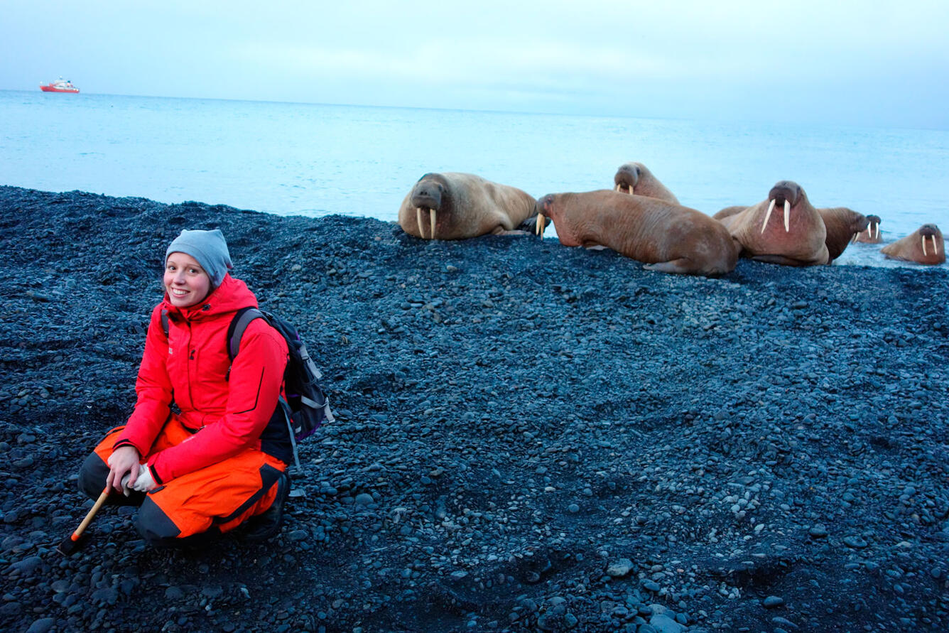 A smiling young woman squats on a stony beach with walrus behind her.