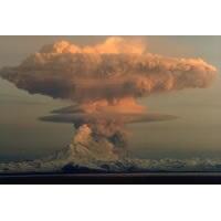 Partnership with CalVO and Cal EMA