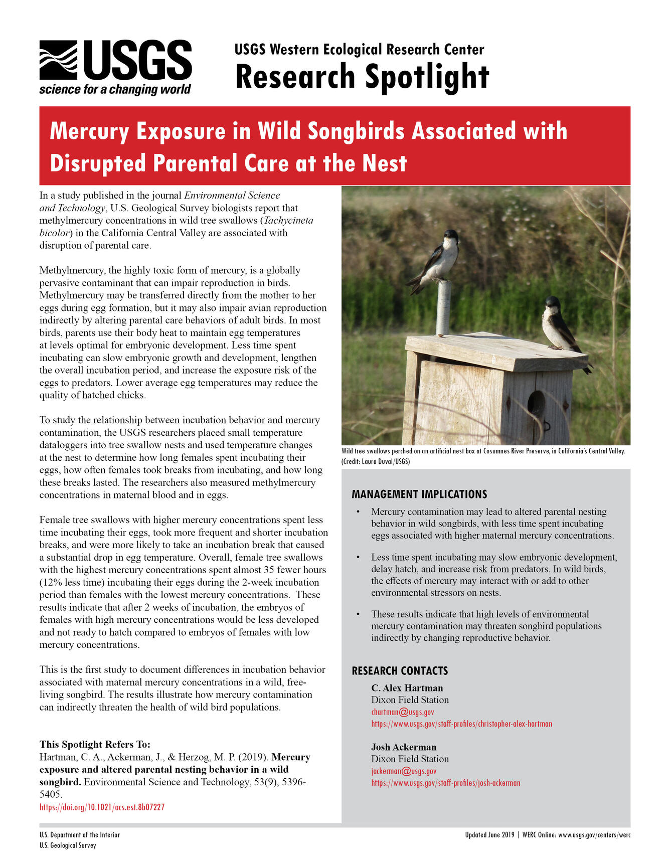 Research spotlight about songbird mercury (pdf available)