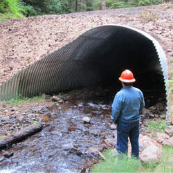 Issue3.8August2015Thumb