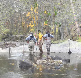 Setting up block nets to perform population estimates.