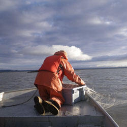 Issue5.10October2017Thumb