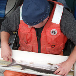 Issue7.2February2019NLThumb