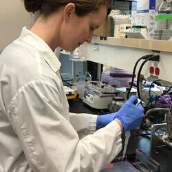 nPCR test for detection of Rs Image 1 Thumb