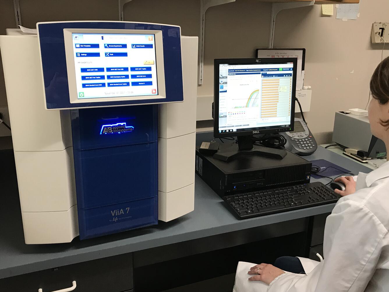 qPCR for the detection of Rs