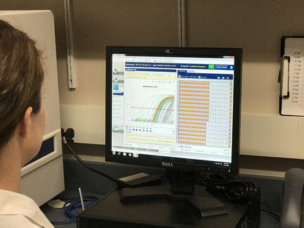 qPCR for the detection of Rs