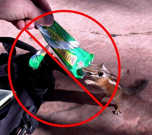 Do not feed the wildlife