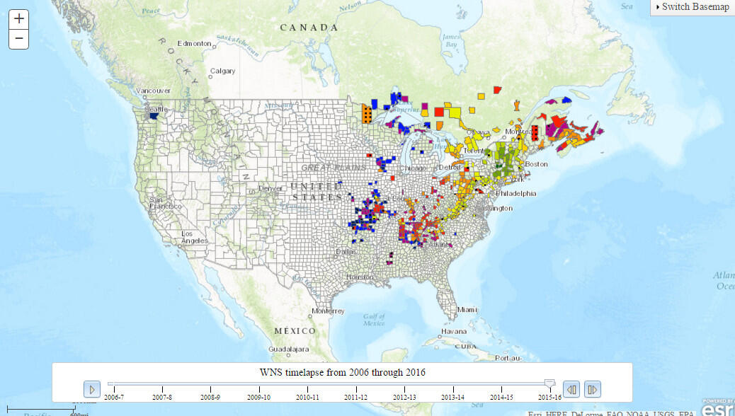 White-Nose Syndrome Timeline