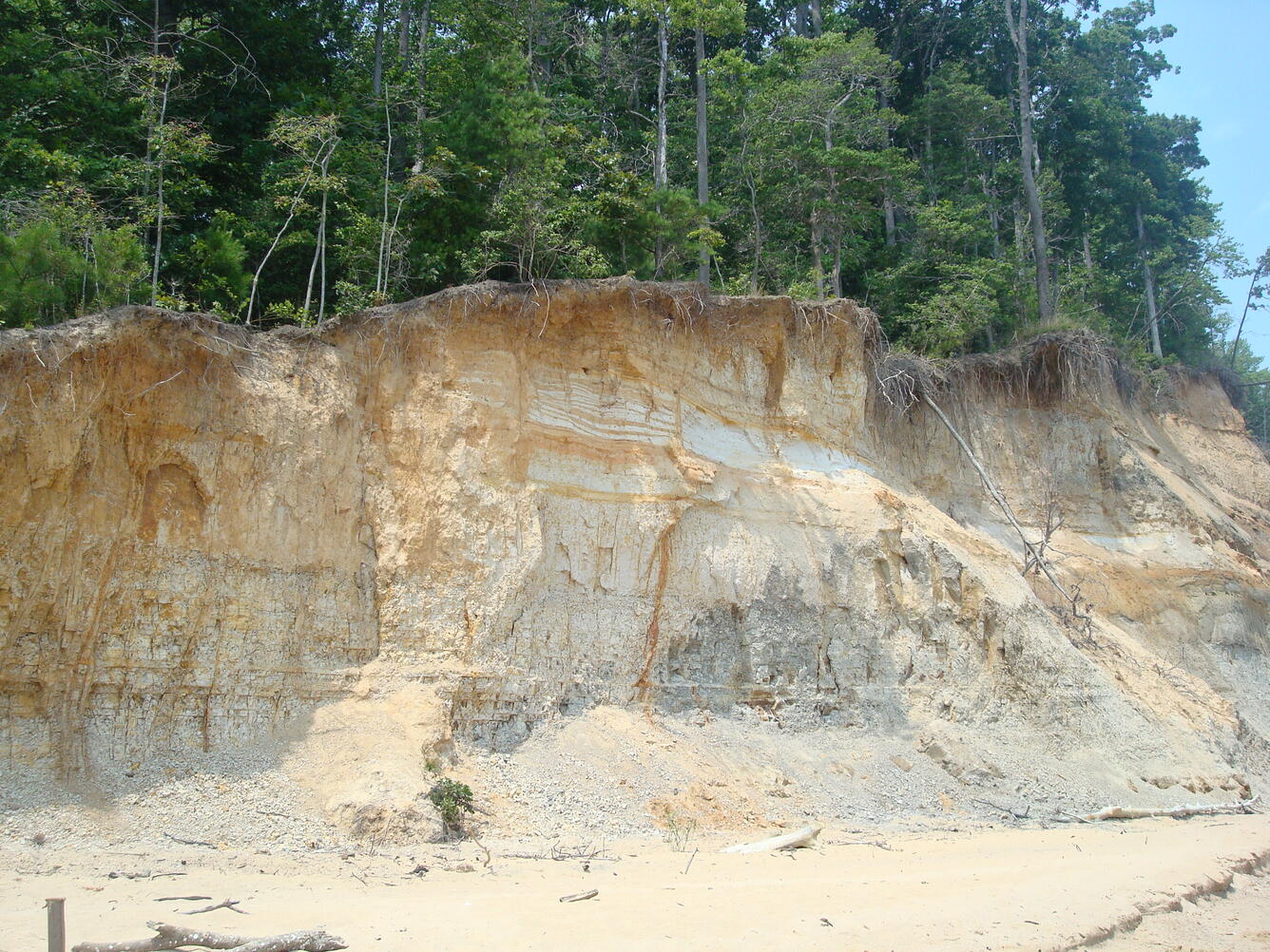 Photo of Calvert Cliffs