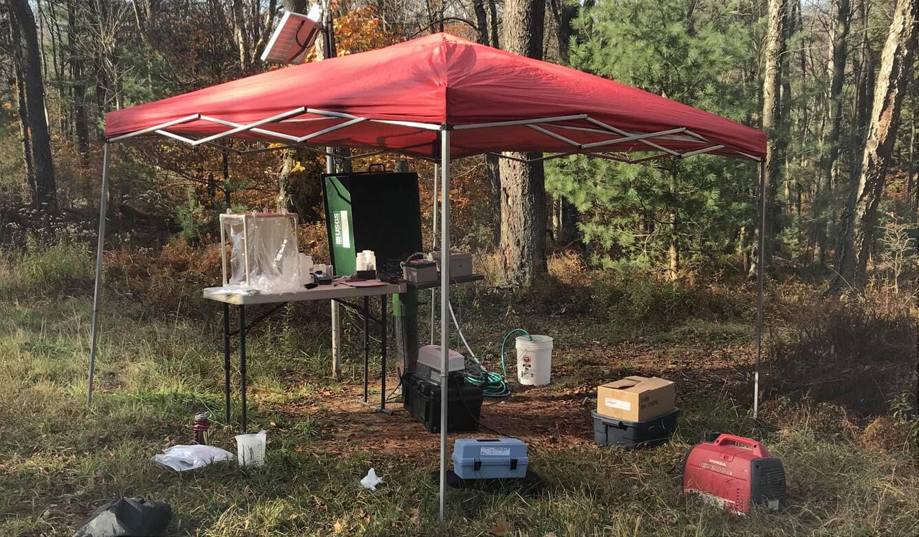 tent, red, foliage, green, sampling equipment. 