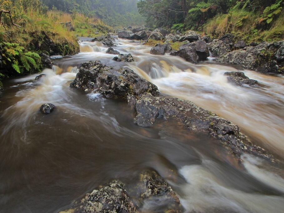 Water flowing in the Wailuku River in Hawai'i