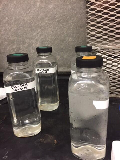 Water samples thawing in preparation for eDNA analysis