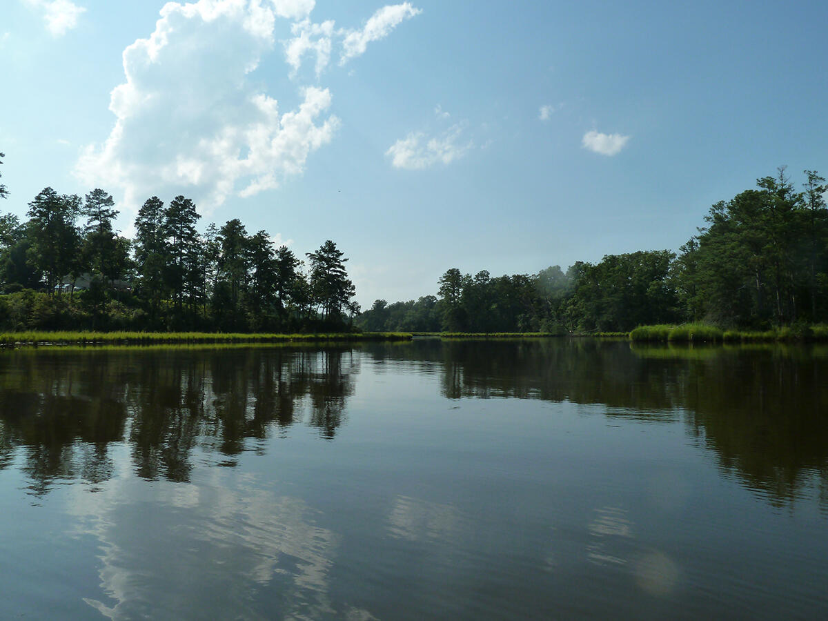Waterfowl habitat on the Delmarva Peninsula