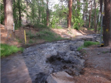 Bandelier National Monument, NM, NMWSC