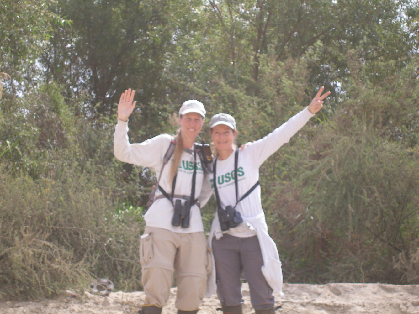 We Found a Banded Least Bell's Vireo!