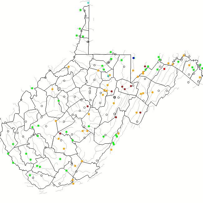 State of West Virginia image