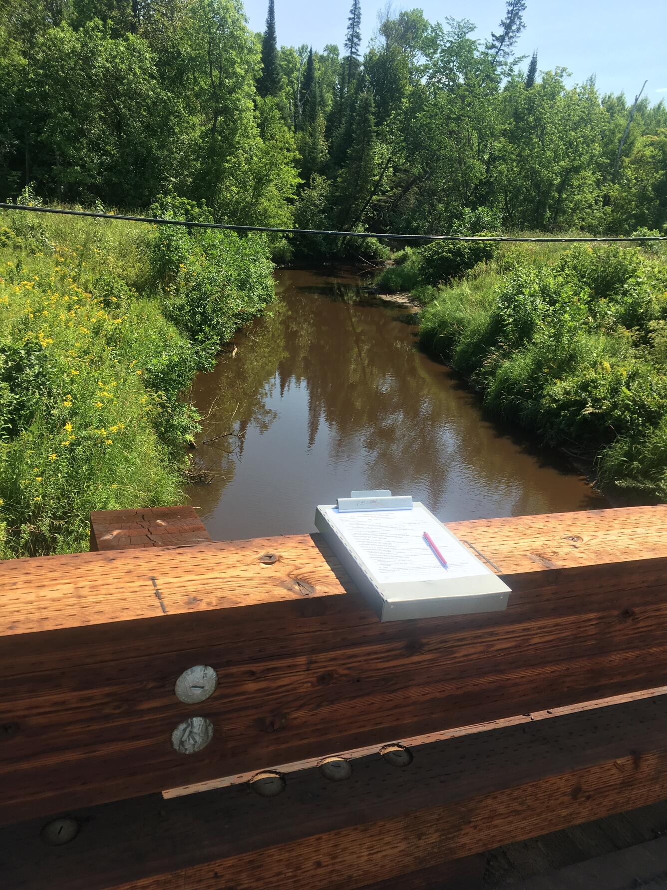 West Swan at Hwy 965