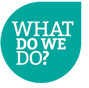 Graphic - What do we do?